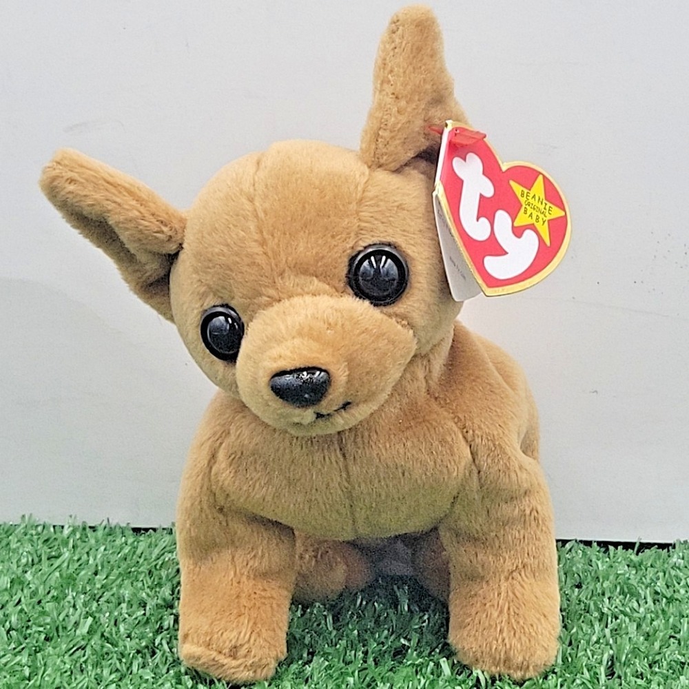 1998 Ty Beanie Baby Tiny the Chihuahua Rare, Rare Tag Errors Plushie Puppy
